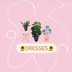 ✨🌻✨🌻✨🌻✨🌻✨🌻✨🌻✨🌻